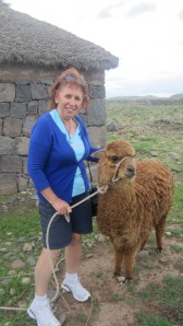 Me with an alpaca (on our way back to our hotel in Puno)